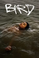 Nonton Film Bird (2024)