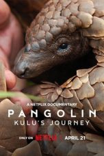 Nonton Film Pangolin: Kulu’s Journey (2025)