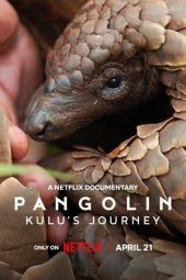 Nonton Film Pangolin: Kulu’s Journey (2025)