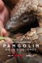 Nonton Film Pangolin: Kulu’s Journey (2025)